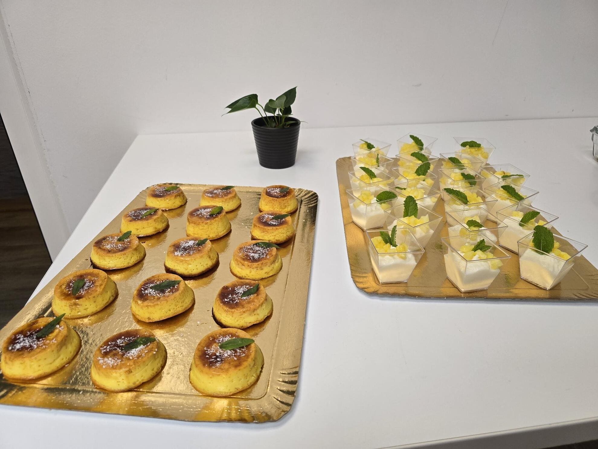 signal-2025-04-23-15-40-29-074-3